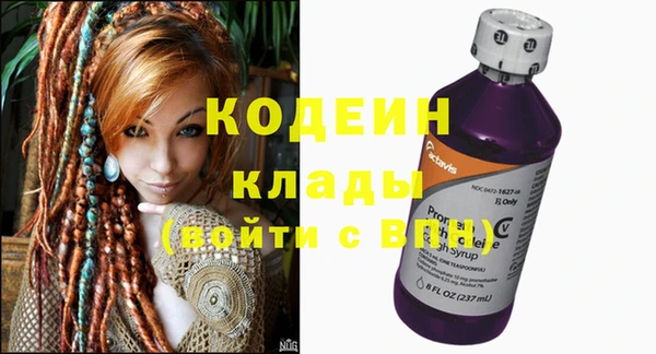 индика Вяземский
