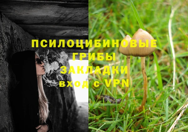 героин Гусев
