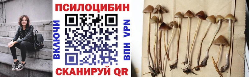Галлюциногенные грибы Cubensis  Новомосковск 